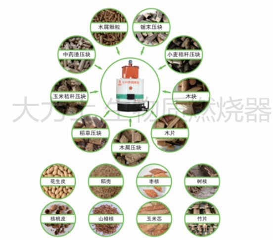 大力士生物質(zhì)燃燒器