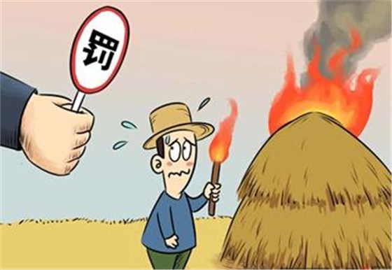 大力士 生物質燃燒器