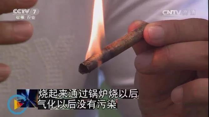 生物質(zhì)能源將來(lái)的能源主力，不應(yīng)該隨意燃燒秸稈