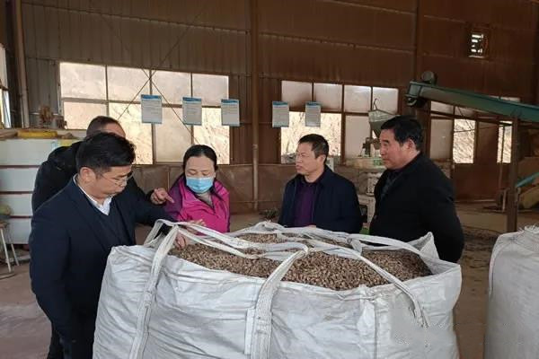 黃岡市能源辦調(diào)研英山農(nóng)村能源、農(nóng)作物秸稈綜合利用