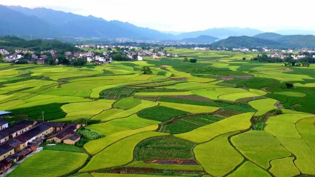 多位代表委員建議：重視生物質能負碳屬性，推動生物質能源產(chǎn)業(yè)發(fā)展（二）