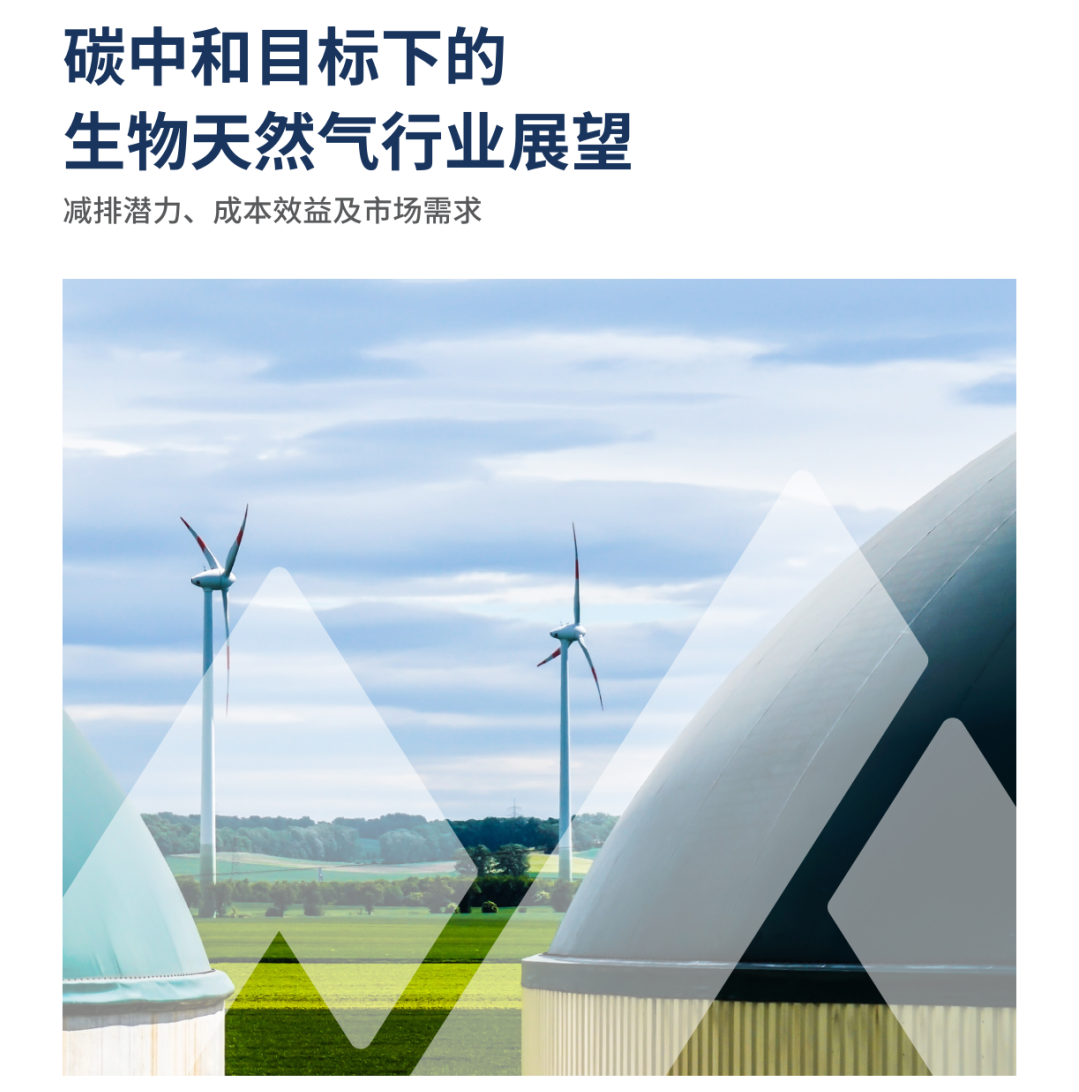 因地制宜推進生物質(zhì)能產(chǎn)業(yè)集群發(fā)展（一）