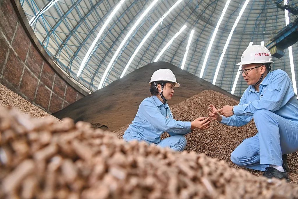 國家發(fā)改委：這類可再生能源電量可納入“全額保障性收購”2