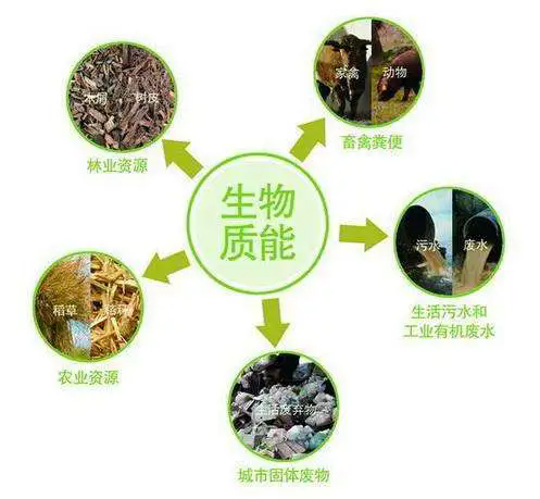 【政策】2000億！陜西將穩(wěn)步拓展生物能源產(chǎn)業(yè)
