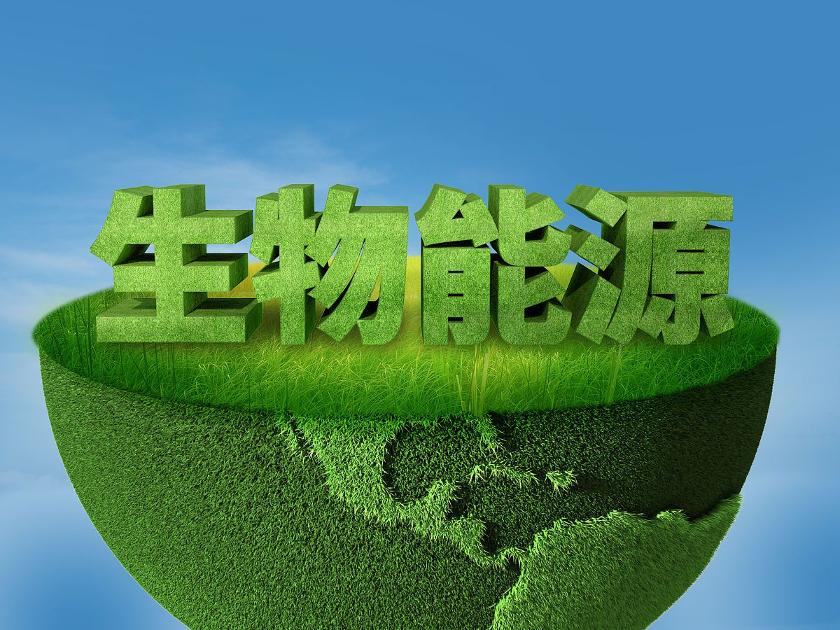 2025年生物質(zhì)能產(chǎn)業(yè)如何發(fā)展?這個(gè)大會(huì)指明方向2